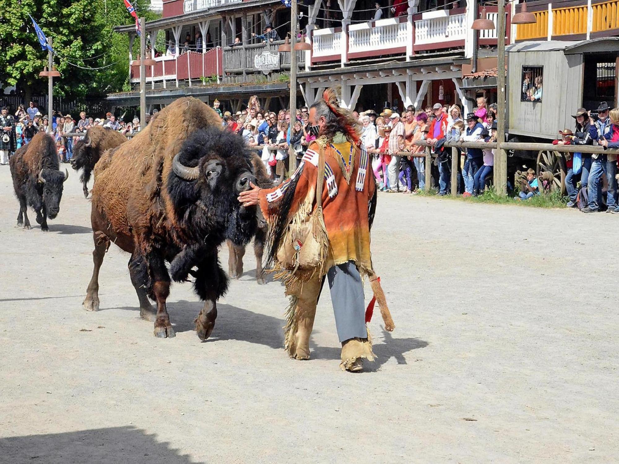 Harz Holiday Park, Hasselfelde Kültér fotó